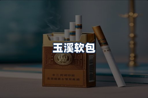玉溪软包